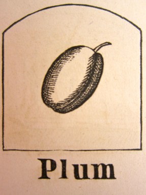 Plum