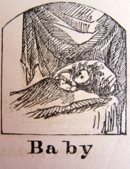 Baby