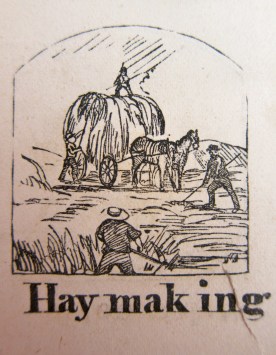 Haymaking
