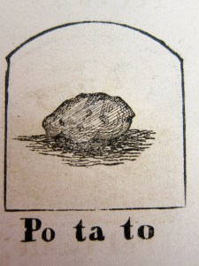 Potato