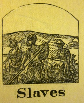 Slaves