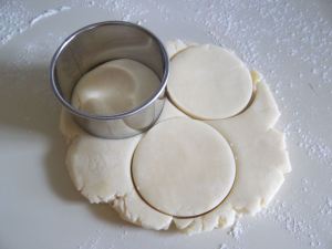 Pentax Digital Camera