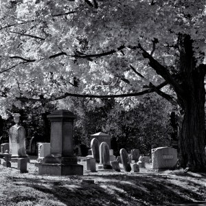 4185604807_e27afcf530_b